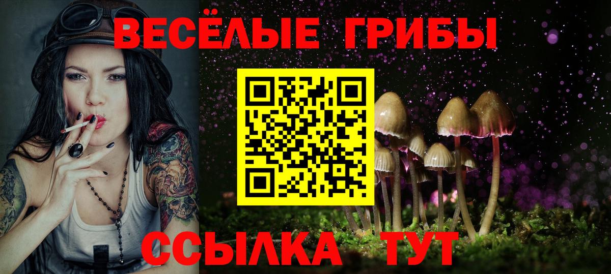 Галлюциногенные грибы Magic Shrooms Саяногорск