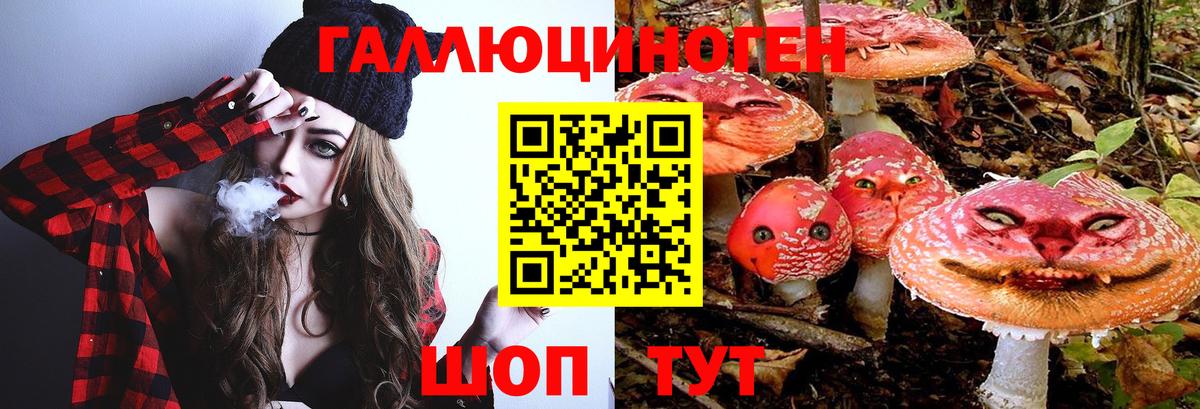 даркнет сайт  Вход с VPN  Саяногорск  Псилоцибиновые грибы Psilocybe 